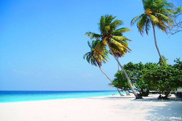 Samui.jpg