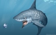 shark_freeteam